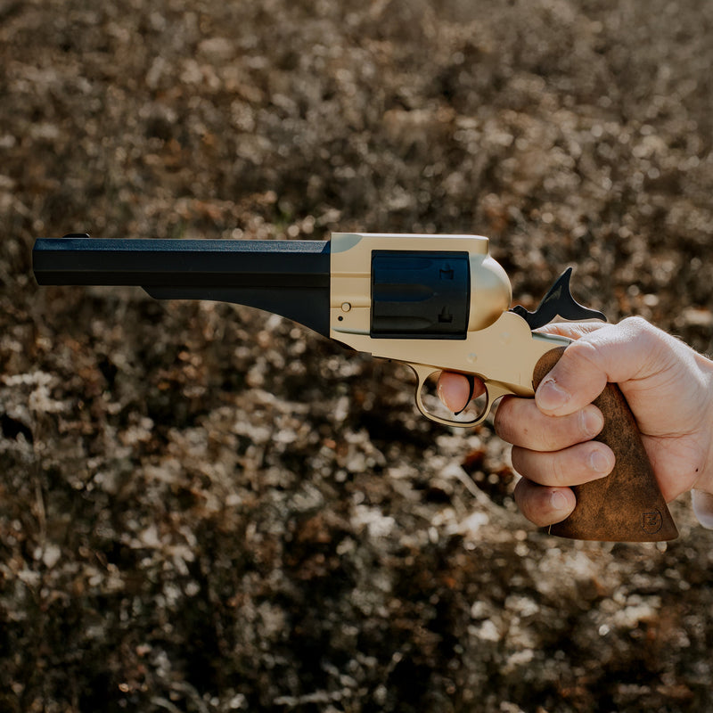 Load image into Gallery viewer, 1858 CO2 Pistol Kit - Black & Gold