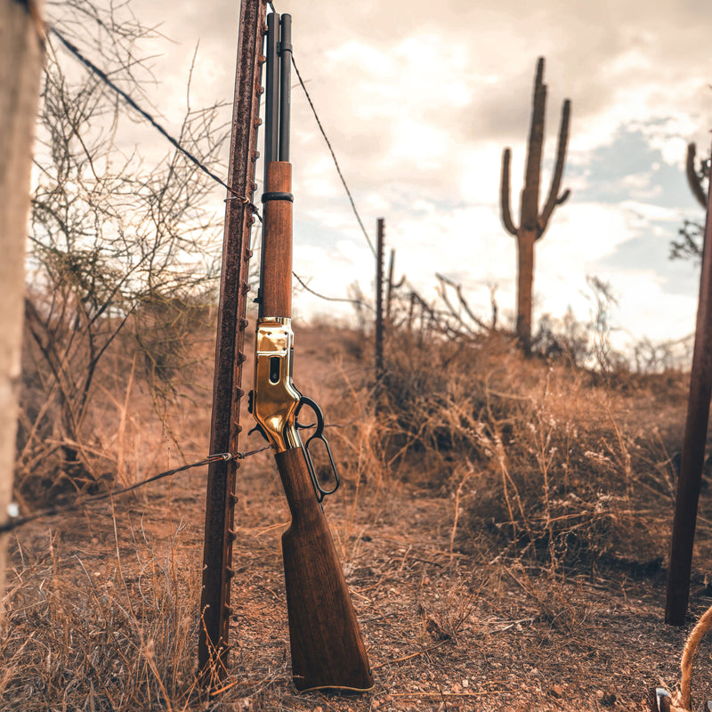 Load image into Gallery viewer, 1866 CO2 .22 - Gold