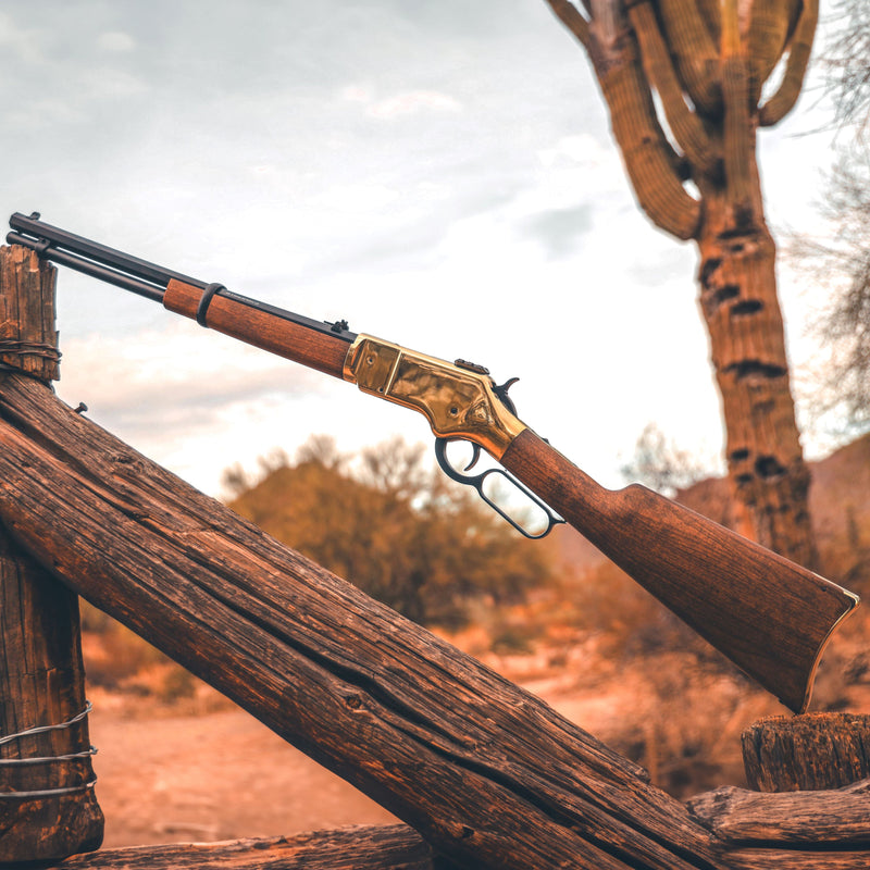 Load image into Gallery viewer, 1866 CO2 .22 - Gold