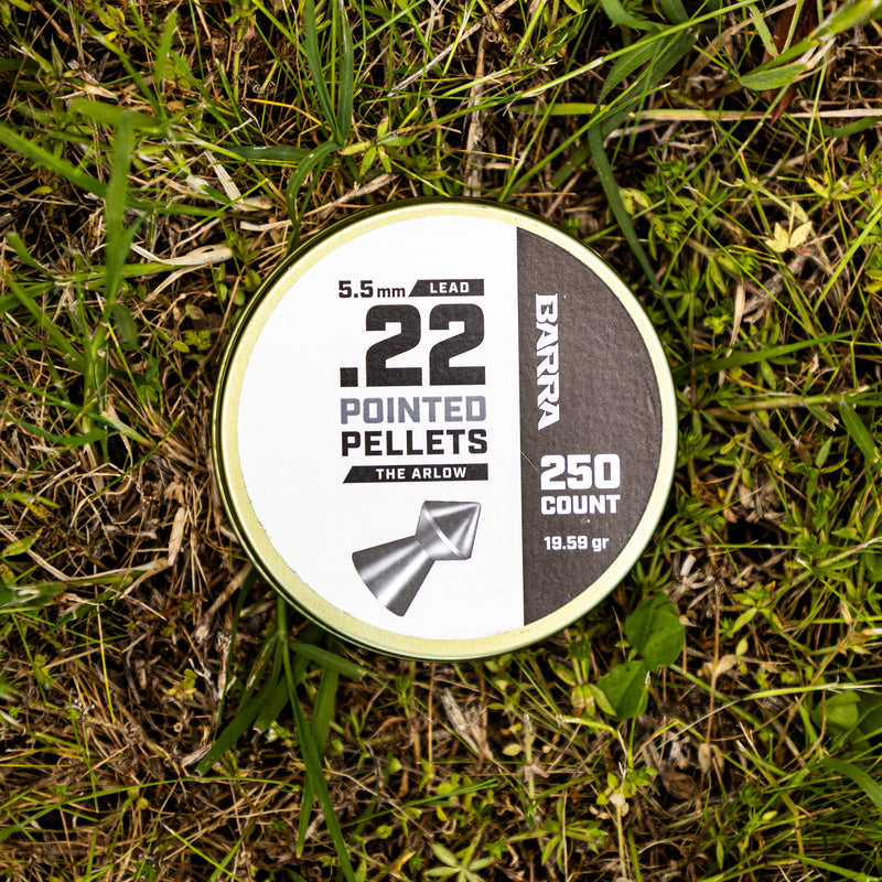 Load image into Gallery viewer, Arlow Pointed Tip .22 Caliber Pellets - 250 Count