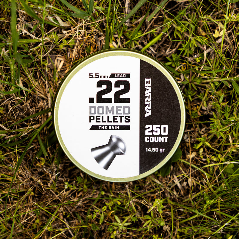 Load image into Gallery viewer, Bain Domed .22 Caliber Pellets - 250 Count