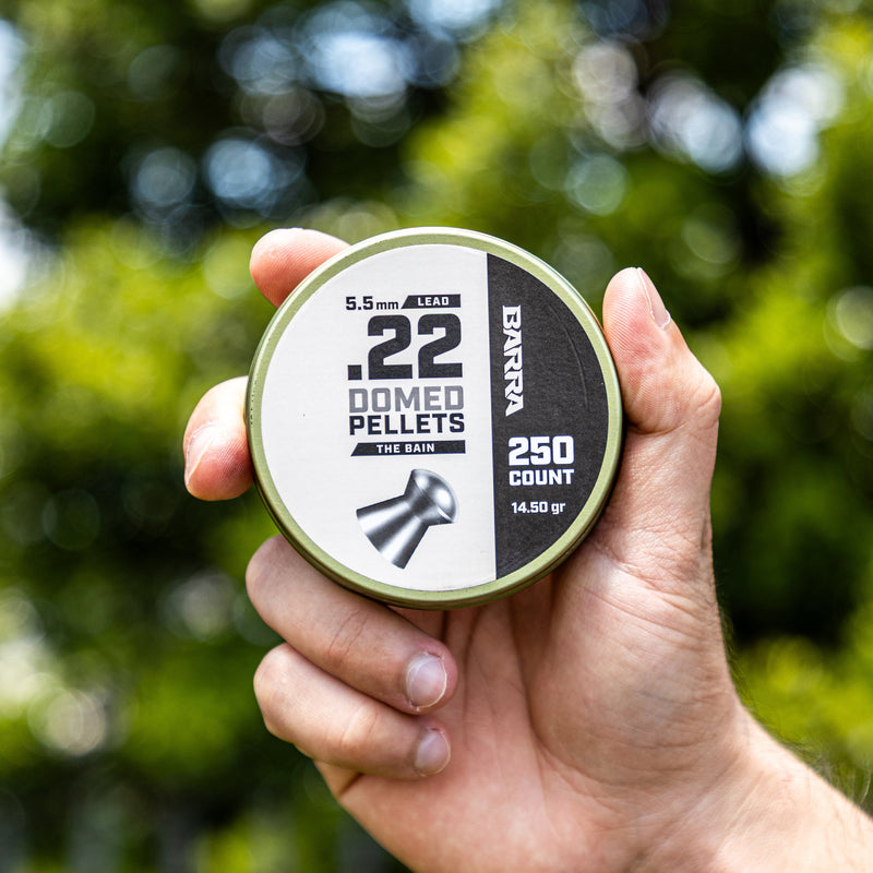 Load image into Gallery viewer, Bain Domed .22 Caliber Pellets - 250 Count