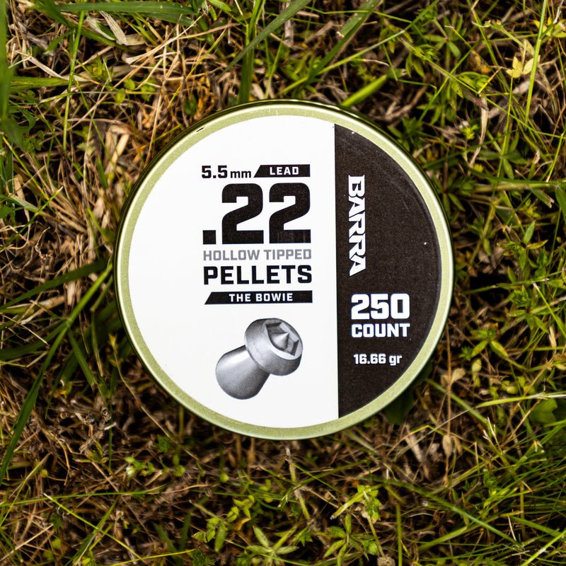 Load image into Gallery viewer, Bowie Hollow Tipped .22 Caliber Pellets - 250 Count