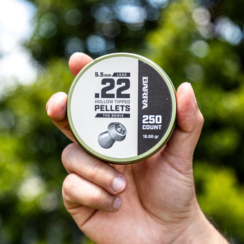 Load image into Gallery viewer, Bowie Hollow Tipped .22 Caliber Pellets - 250 Count