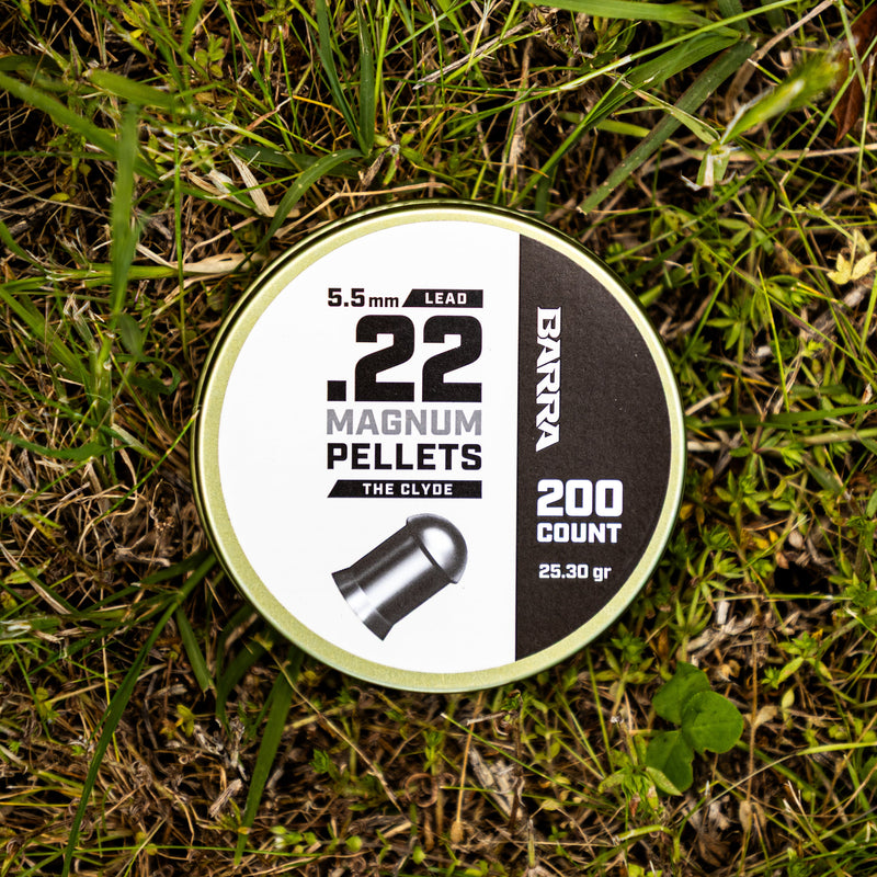 Load image into Gallery viewer, Clyde Heavy .22 Caliber Pellets - 200 Count