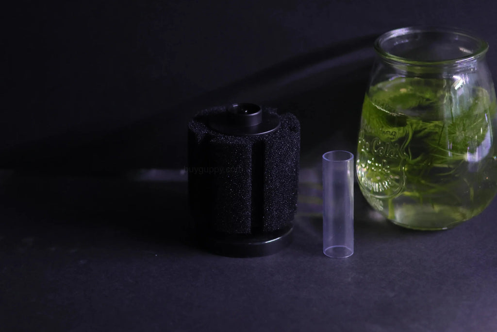 Sponge Filter (Up to 20 gallon)