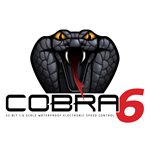 Castle Creations - Cobra 6, 33.6V, 8A Peak BEC ESC w/ 2028-800KV Sensored Motor