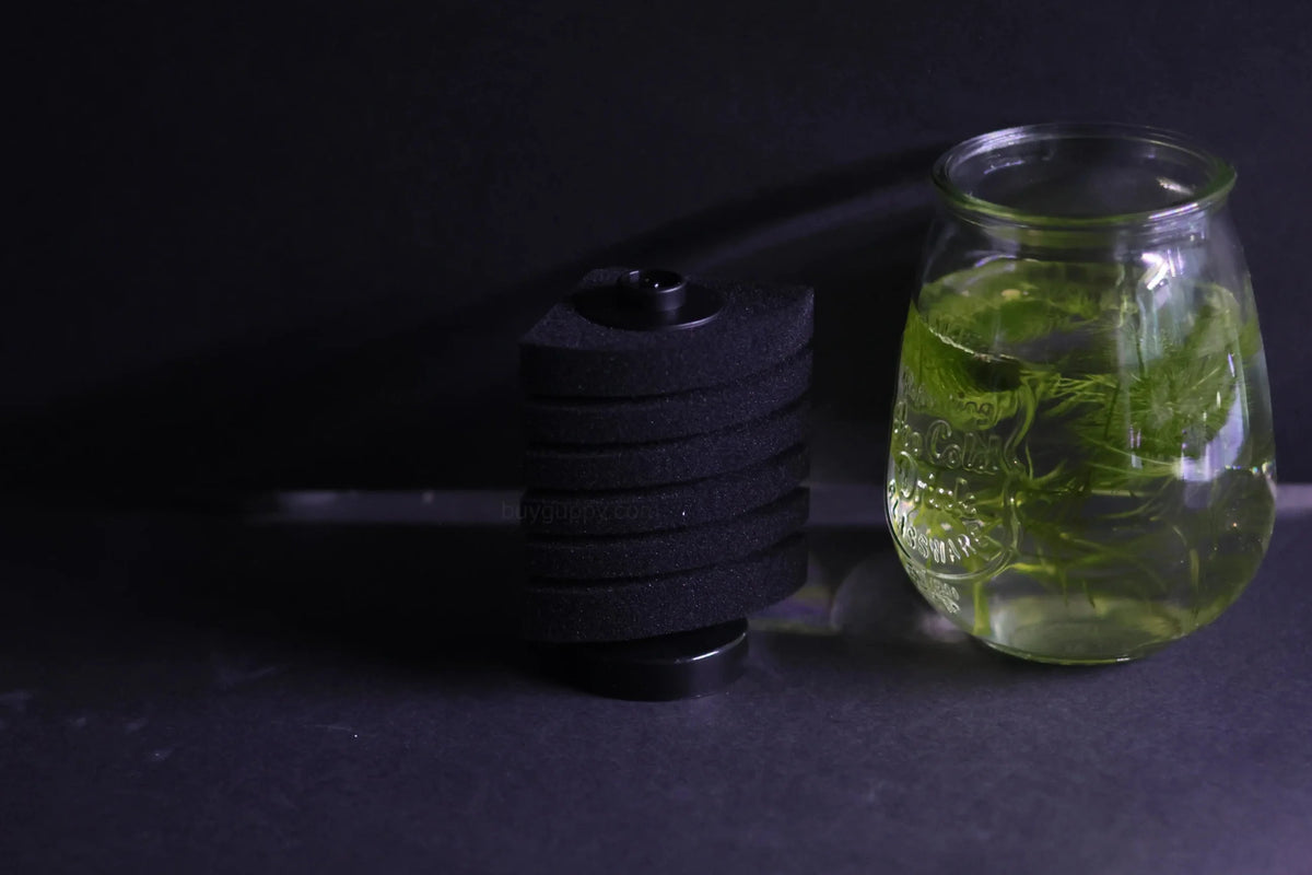 Corner Sponge Filter (Up to 20 Gallons)