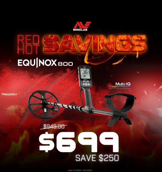 Minelab Equinox 800 Metal Detector