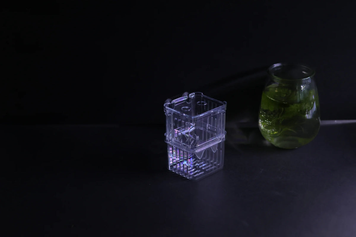 Guppy Breeder Box (Small)