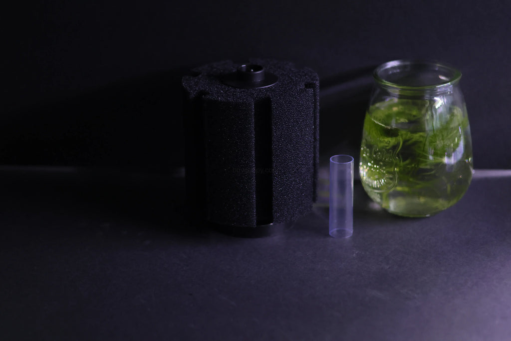 Sponge Filter (Up to 60 gallons)