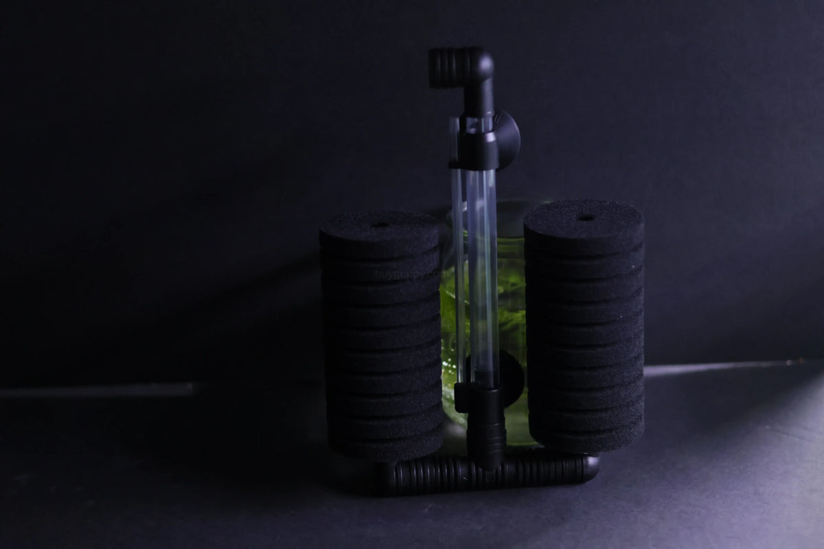 Dual Sponge Filter (Up to 55 Gallon Aquariums)