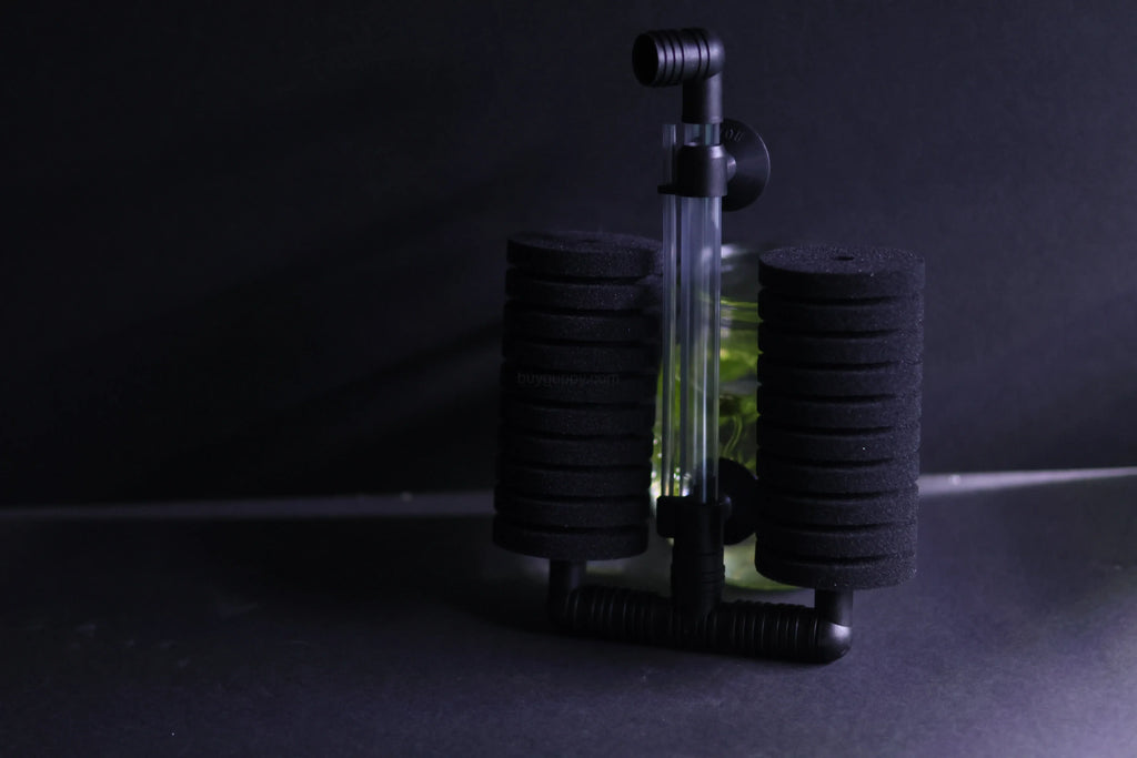 Dual Sponge Filter (Up to 55 Gallon Aquariums)
