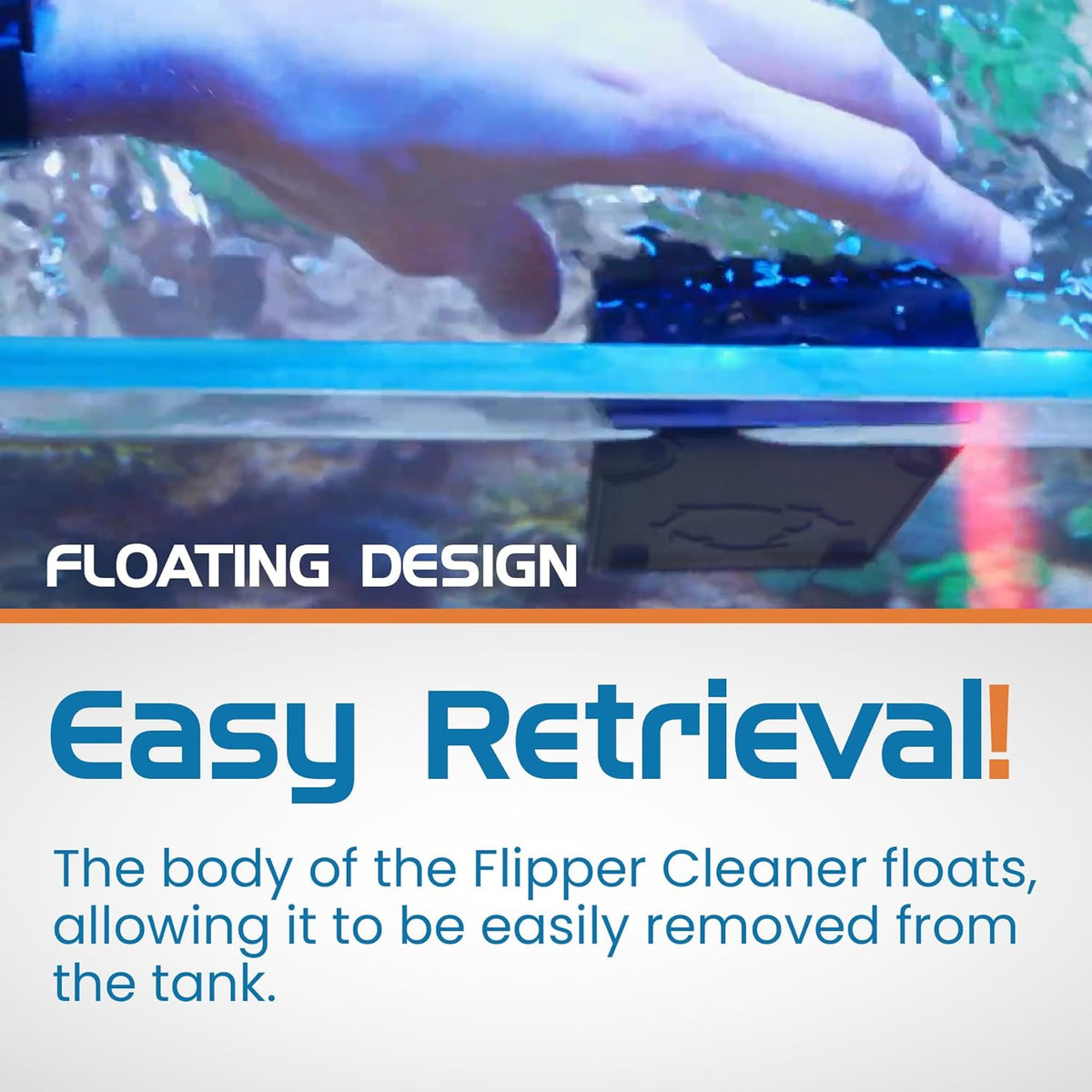 Flipper x Cichlid Bros Bundle