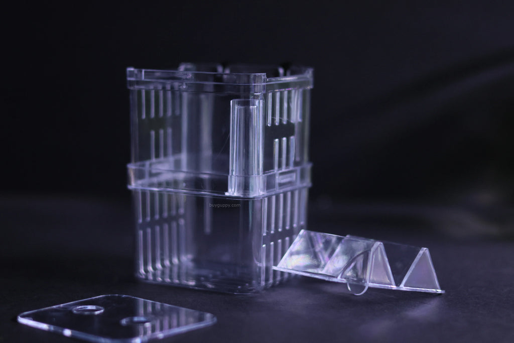 Guppy Breeder Box (Small)