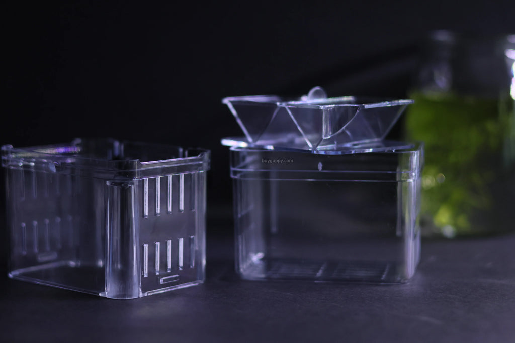 Guppy Breeder Box (Medium)