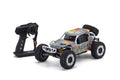 AXXE 2.0 2WD EP Buggy Readyset, Orange