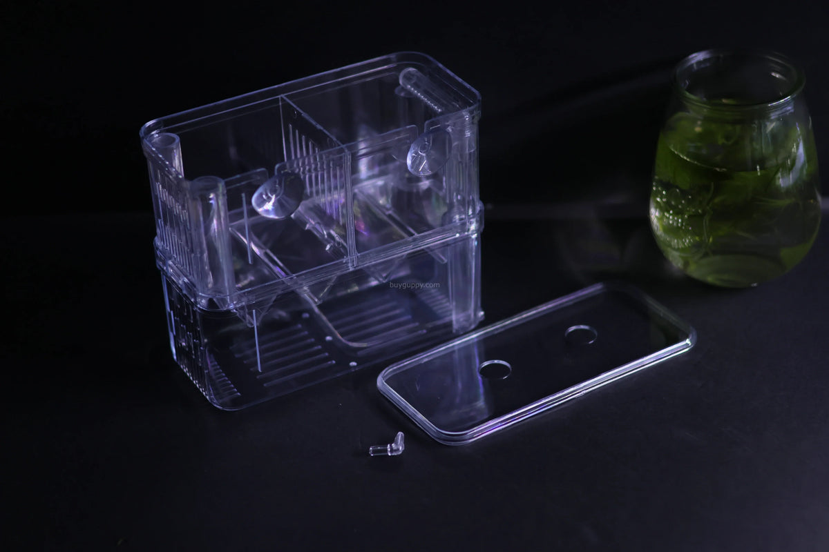 Guppy Breeder Box (Large)