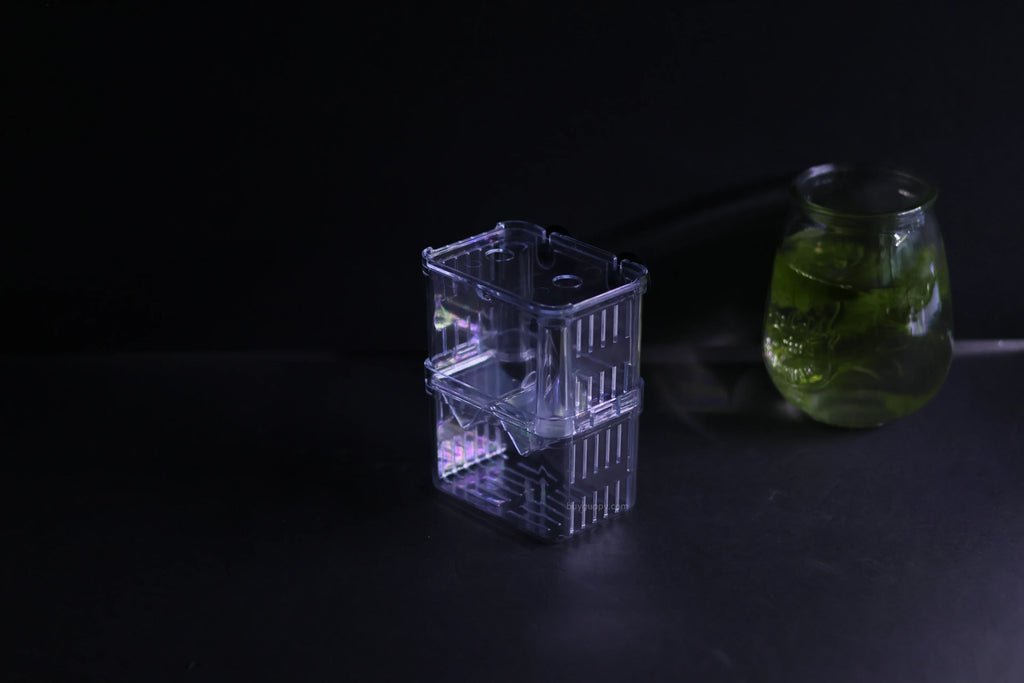 Guppy Breeder Box (Medium)