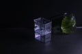 Guppy Breeder Box (Medium)