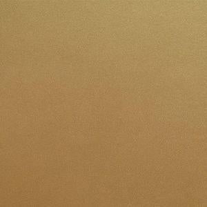Acrylic Model Paint 1oz Bottle Brass