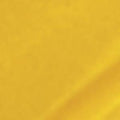 Acrylic Model Paint 1oz Bottle Gold