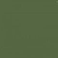 Acrylic Model Paint 1 oz bottle, Russian Dark Olive 2