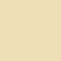 Acrylic Model Paint 1 oz bottle, Radome Tan FS 33613