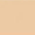 Acrylic Model Paint 1 oz bottle, LRDG Desert Pink
