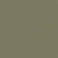 Acrylic Model Paint 1 oz bottle, SAC Bomber Tan FS