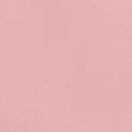 Acrylic Model Paint 1oz Bottle Pink