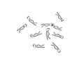 Eazy Grip MT Body Clips (10)