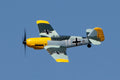 Messerschmitt Bf 109 Micro Ready To Fly (RTF) Airplane with PASS