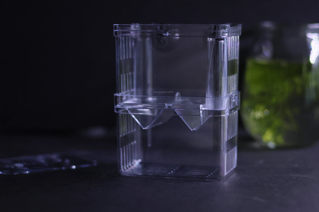 Guppy Breeder Box (Small)