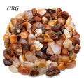 Tumbled Carnelian Agate (1-2 Inches) (1 Pound) Polished Crystal Wholesale Lot