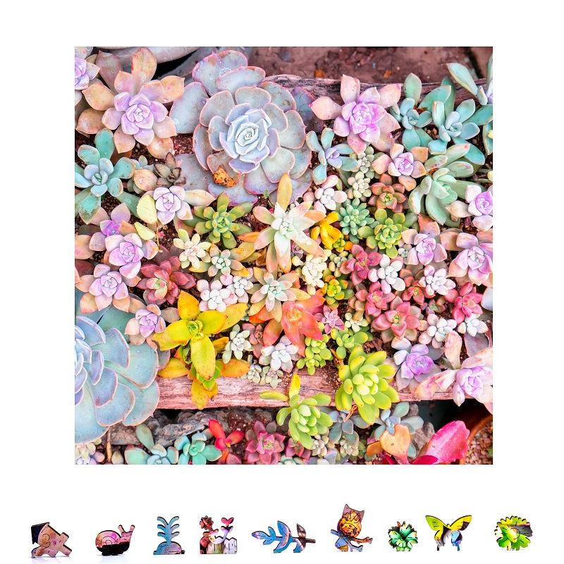 ZenChalet - Garden Succulents Puzzle, 500 Pcs