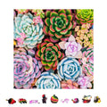 ZenChalet - Succulent Sensation Wooden Jigsaw Puzzle, 1000 pcs