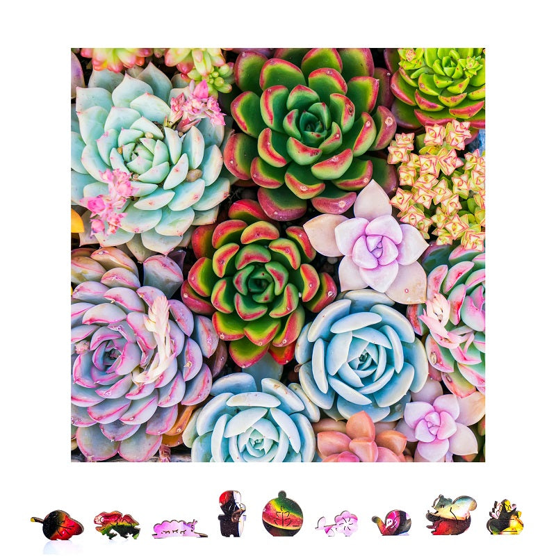 ZenChalet - Succulent Sensation Wooden Puzzle, 500 Pcs